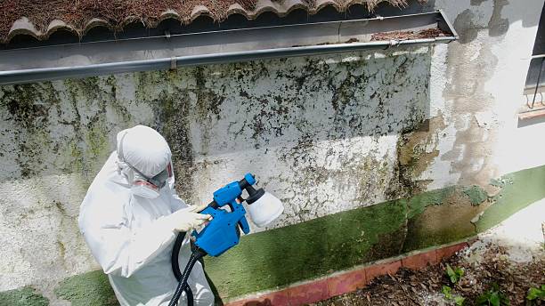 Trusted Bathroom Mold Removal service in Elberon, VA - Cheap Mold Removal
